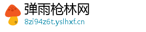 弹雨枪林网